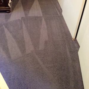 Photo of All-State Carpet Cleaning & Services