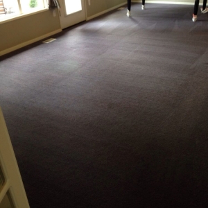 Photo of All-State Carpet Cleaning & Services