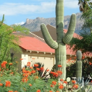 Photo of Fort Lowell Realty & Property Management