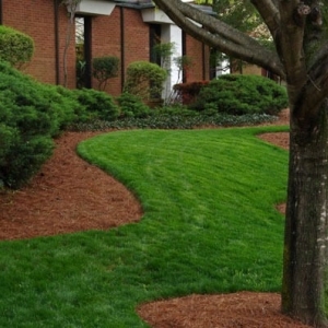 Photo of Personal Touch Lawn Care