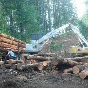 Photo of Alpine Earth Movers