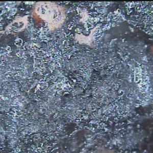 Photo of All Out Chimney Sweep