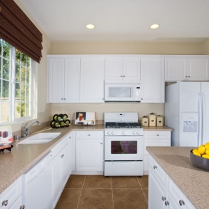 Photo of Professional Kitchen Design
