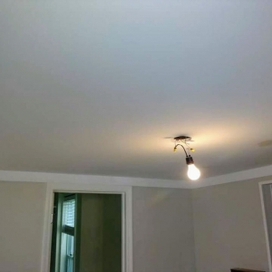 Photo of Max Out Mold Removal