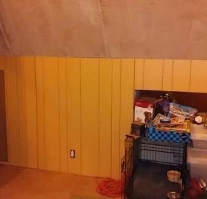 Photo of Max Out Mold Removal