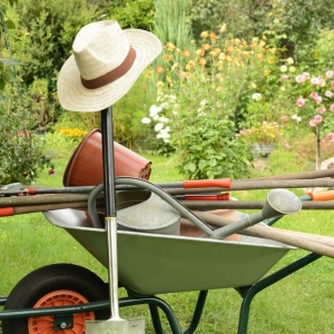 Photo of Native Gardening