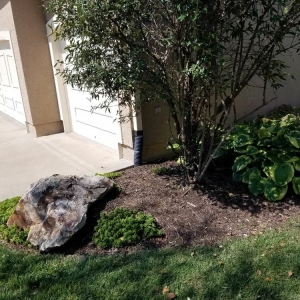 Photo of Lilah's Dream Restoration and Renovation Services
