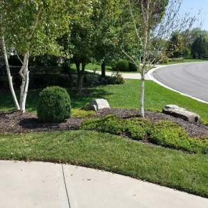 Photo of Lilah's Dream Restoration and Renovation Services