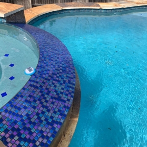 Photo of Pool Tile Restorations