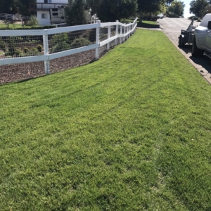 Photo of Jerez Landscaping and Maintenance