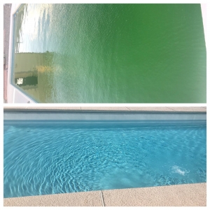 Photo of Outer Limits Pool Service