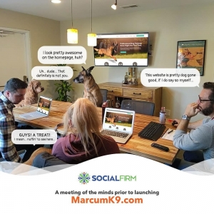 Photo of Social Firm