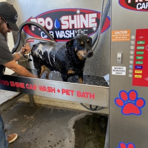 Photo of Pro Shine Car Wash and Pet Bath