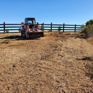 Photo of West Coast Brush Control