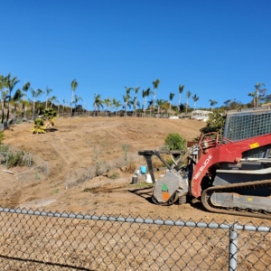 Photo of West Coast Brush Control