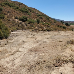 Photo of West Coast Brush Control