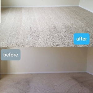 Photo of Supremium Green Carpet and Upholstery Cleaning Services