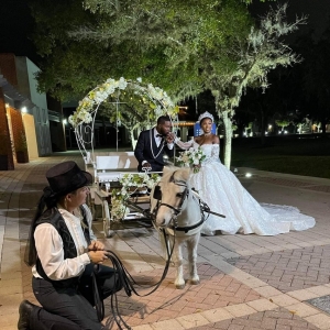 Photo of Pinto Carriage Works, LLC