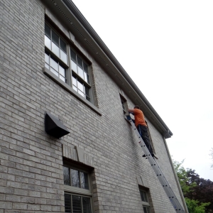 Photo of Smiling Windows