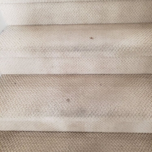 Photo of Eminent Carpet Cleaning