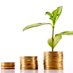 Photo of Essence Wealth & Insurance Services