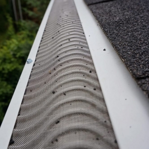 Portland Dr. Downspout Gutter Services