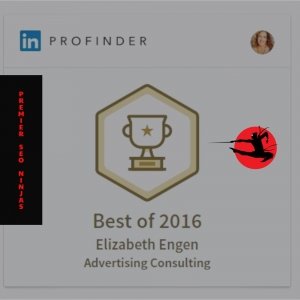 Photo of Premier SEO Ninjas