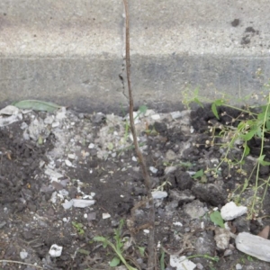 Photo of Rite Way Brick Restoration