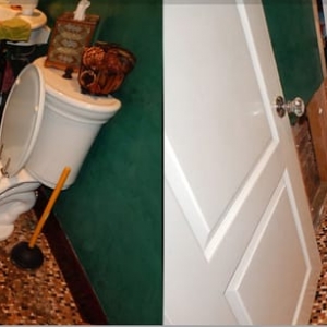 Photo of Mold Solutions & Inspections