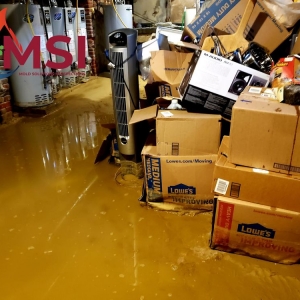 Photo of Mold Solutions & Inspections