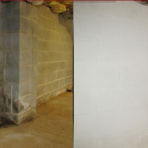 Photo of Mold Solutions & Inspections