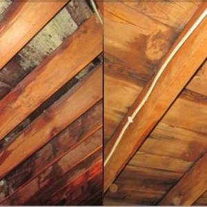 Photo of Mold Solutions & Inspections