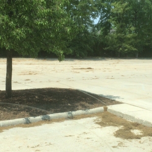 Photo of Eastside Parking Lot Sweeping