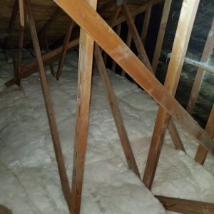 Photo of Active Pest Control