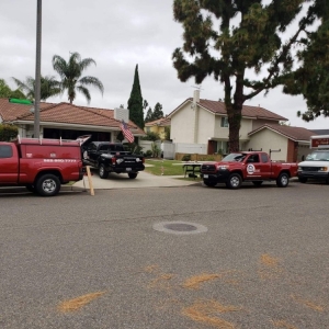 Photo of Active Pest Control