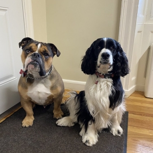 Photo of Braese Associates