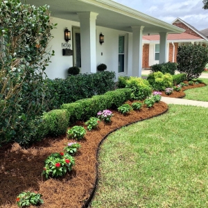 Photo of Landscape Orleans
