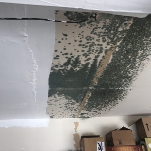 Photo of Swift Restoration