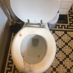 Photo of Pearlstine's Cleaning