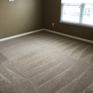 Photo of Pure Carpet Cleaners