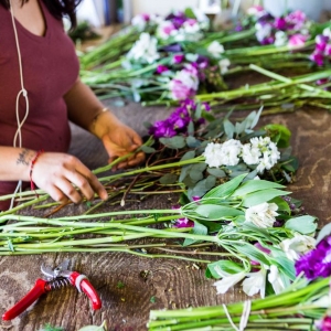 Photo of Flowers for Dreams