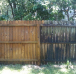 Photo of Abella Window & Gutter Cleaning