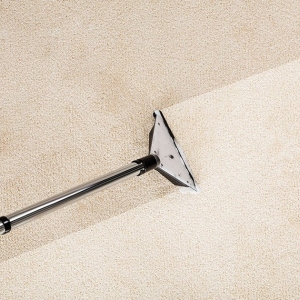 Photo of Maxcare Carpet Cleaning