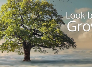 Brentwood LogoGarden