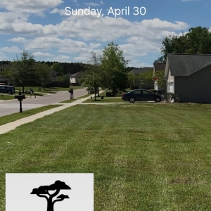 Photo of J & C Firewood And Lawn Services
