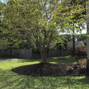 Photo of J & C Firewood And Lawn Services