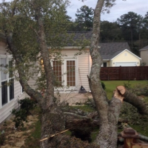 Photo of J & C Firewood And Lawn Services