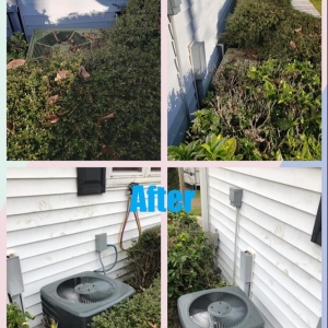 Photo of Vining Heating & Air
