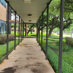 Houston Grupo Estrella
