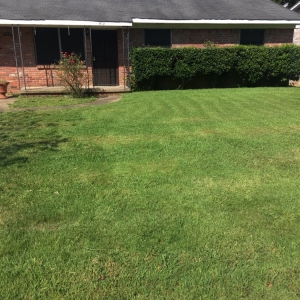 Photo of Lanehart Enterprises